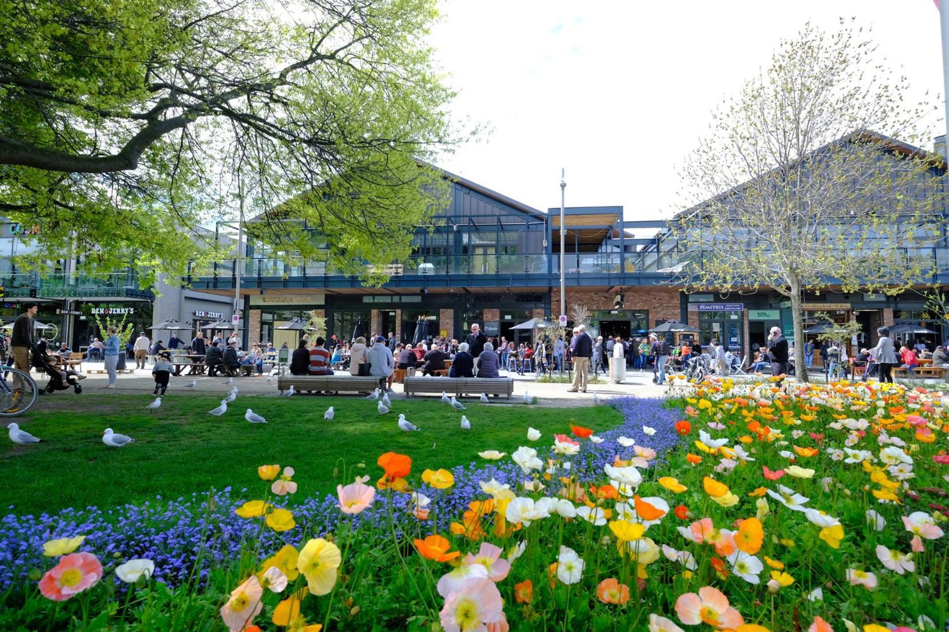 Chic Studio In The Heart Of Christchurch Exteriör bild